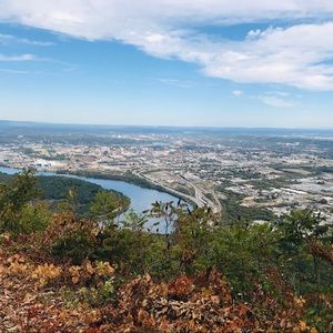 Meet your Posher, Sandy